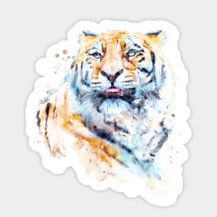 Siberian Tiger Upward Gaze Sticker
